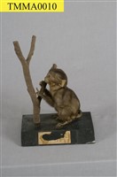 Formosan Rock-monkey Collection Image, Figure 5, Total 15 Figures